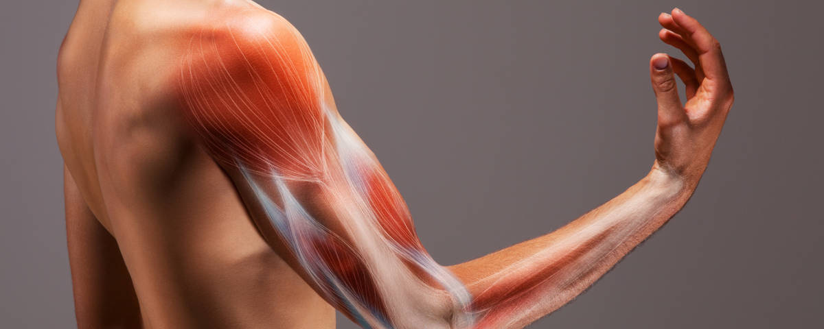 Schulter-Arm-Syndrom_iStock-962584606