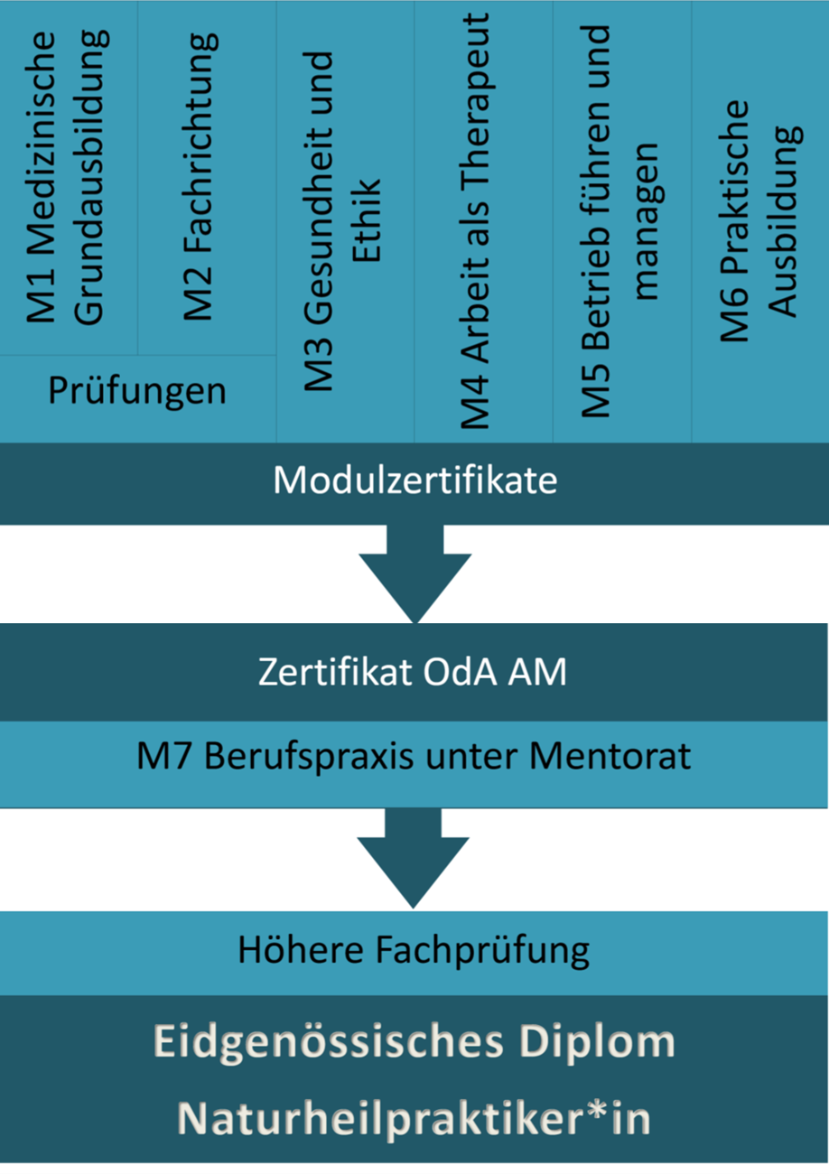 Ausbildungsübersicht OdA AM_2023
